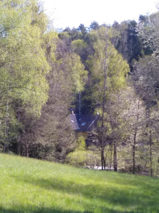 Urlaubspension Die Muehle Schöllnach Eksteriør bilde